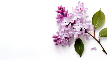 Beautiful flowers bring back memories.