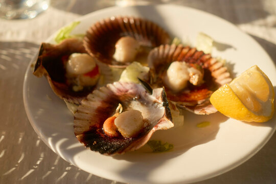 Scallops served in shell with a wedge of lemon on a plate, illuminated by soft sunlight.