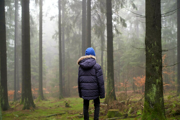 A person in a blue beanie and black jacket stands facing tall misty trees in a peaceful forest setting.