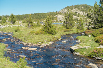 A serene mountain stream flows through a landscape dotted with greenery and rocks under a clear blue sky.