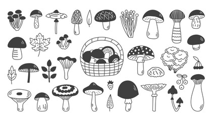 Forest Mushrooms Doodle Icons Set. Hand drawn fungus line symbols clipart. Autumn Fall Fantasy Design elements in cartoon sketch style. Isolated vector illustration © Marina