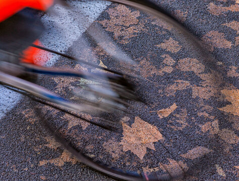 Blurred motion of a bicycle wheel rolling over autumn leaves scattered on a wet asphalt road.