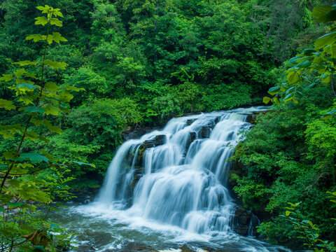A cascading waterfall surrounded by lush greenery in a serene forest setting.