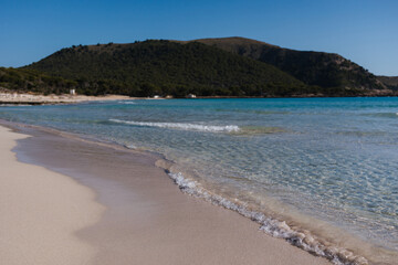 The beautiful sandy beach and bay of Cala Agulla during Juli in Majorca Spain