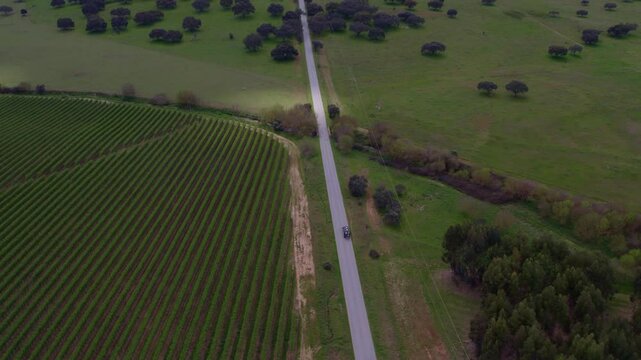 Aerial view of countryside road and vineyards, Odivelas, Beja, Portugal.