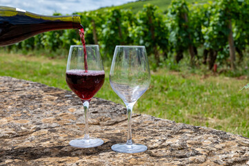 Tasting of red pinot noir wine on grand cru vineyards with cross and stone walls in Cote de nuits, making of famous red and white Burgundy wine in Burgundy region, Vosne-Romanee village