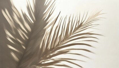 Obraz premium background gentle aesthetics the shadow of a palm tree branch on the wall pastel colors beige gray white blurred background watercolor drawing
