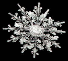 Intricate snowflake with hexagonal symmetry and delicate ice crystals against a dark background.