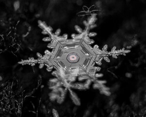 A delicate snowflake with intricate patterns stands out against a blurred black and white background.