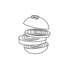 Illustration onion slice line sketch style