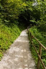 Obraz premium Vintgar Gorges Park a few km from Lake Bled, Slovenia. Wooden walkways accompany the path above the river rapids and waterfalls. River hits rocks and creates fog.Adventure family holidays. Freshness.