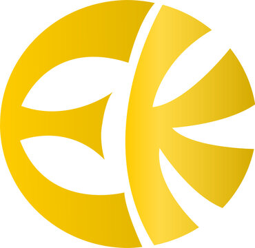 eckankar religious symbol vector image