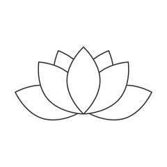 Lotus icon or Harmony icon on white. Vector