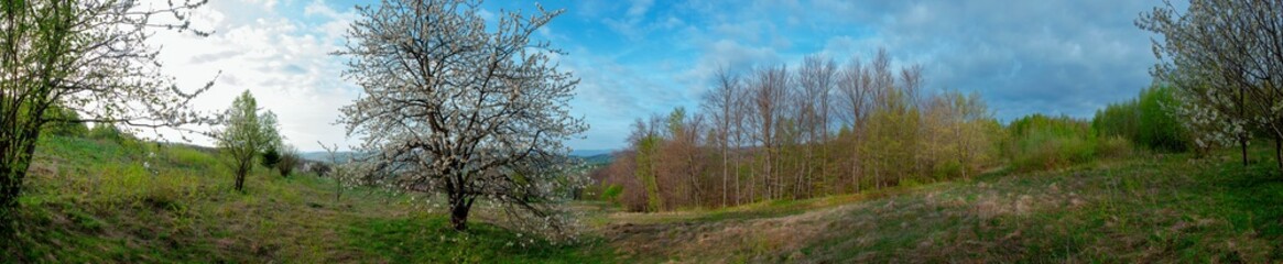 Panorama of the spring forest near the mountain town. Picturesque landscape of a sunny day.