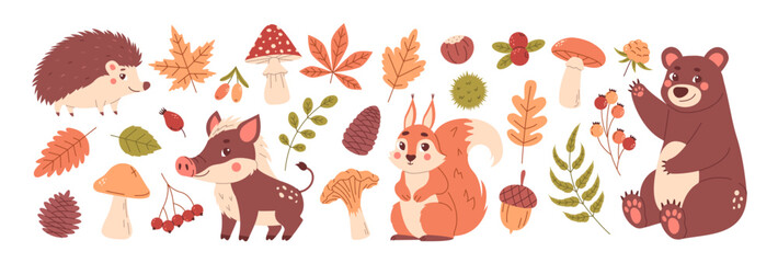 Autumn plant and animals. Fall season element set. Tree leaves, berries, mushrooms. 