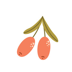 Autumn berry. Fall season plant. Sea buckthorn on white background.