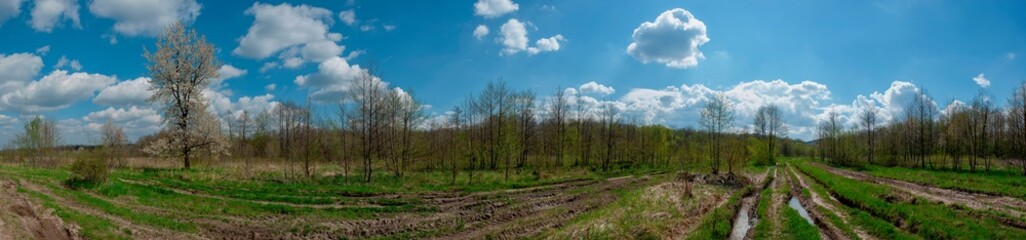 Panorama of the spring forest near the mountain town. Picturesque landscape of a sunny day.