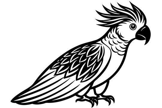 black and white cockatoo bird clip art preview