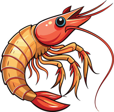 recommend clip art: prawn clip art vector