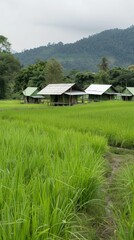 Rolling green rice terraces stretch across the hills, with a small house perched on a hillside in the background. A soft, golden sunset casts a warm glow over the landscape