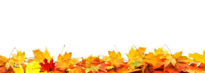 frame of colorful autumn leaves isolated on white background