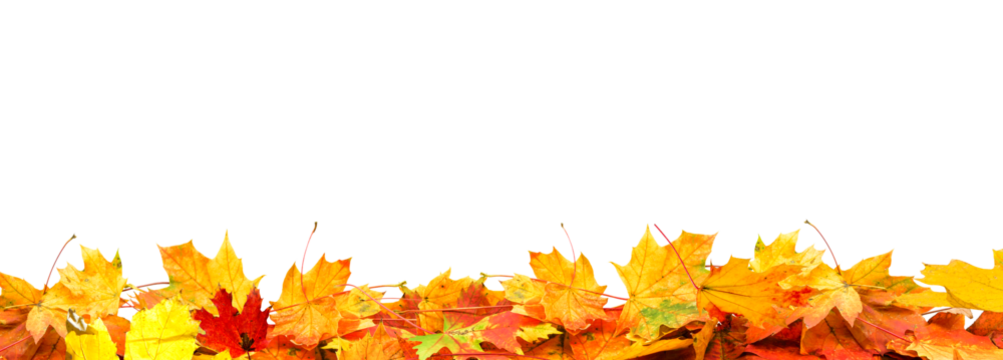 frame of colorful autumn leaves isolated on white background