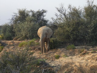 Private Game Reserve 2 