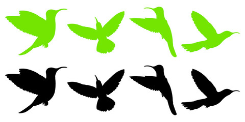 Silhouette illustrations of flying hummingbirds isolated on transparent background