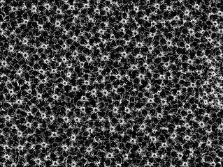 In the picture is an illustration of a black and white pattern with white polka dots on a black background. It is used as an illustration in various artworks. Black and white tones.
