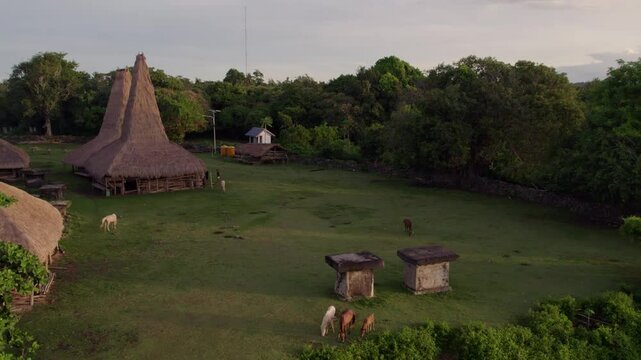 Aerial view of traditional village with thatched roofs and huts, Ratenggaro, Sumba, Indonesia.