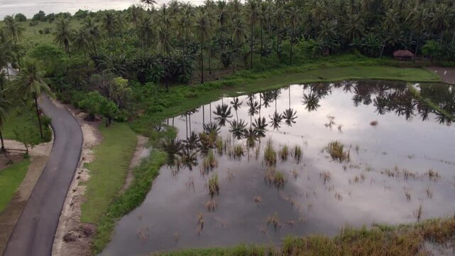 Aerial view of lush tropical forest with palm trees, pond, and wetland at sunset, Pantai Marosi, Sumba Island, Indonesia.