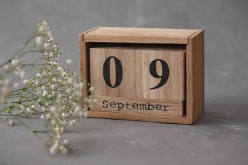 Wooden calendar with the date September 09 and gypsophila flowers on a gray concrete background