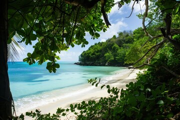 a view of a beach from a tree covered hill