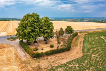 A bird's eye view of the menhir of Ober-Saulheim in Rheinhessen
