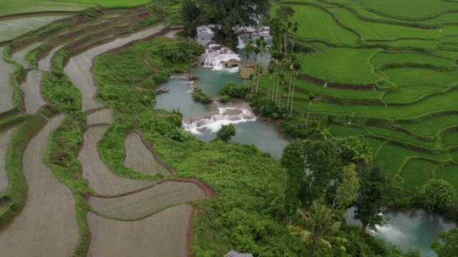 Aerial view of rice fields, palm trees, and rivers in Wee Kacura, Sumba, Indonesia.