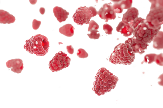 Flying raspberry on transparent background. Raspberry taste explosion concept.