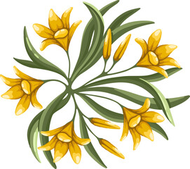 Lilies bush top view for the landscape design plan. Entourage design. Vector illustration.