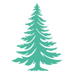 A tall green pine tree with a triangular shape and wispy branches