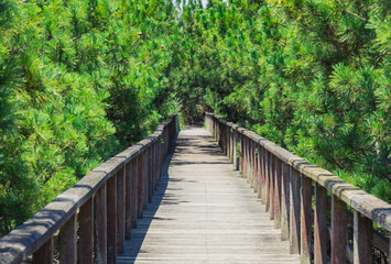 鹿島灘海公園