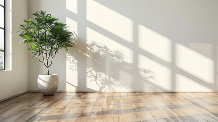 Fototapeta premium Empty room with wooden floor, plant, and sunlight. This photo is perfect for showcasing home decor, furniture, or products.