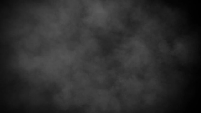 Natural Organic Dust Particles Floating On Black Background