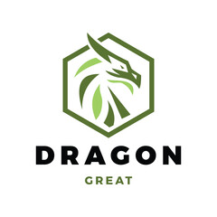 Dragon Icon Logo Design Template