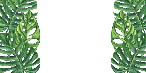 Obraz premium Green palm leaves banner frame. Monstera Likuala Jungle tropical exotic foliage. Botanical clipart. Vegan dietary food painting. Hand drawn watercolor illustration background. Template space for text
