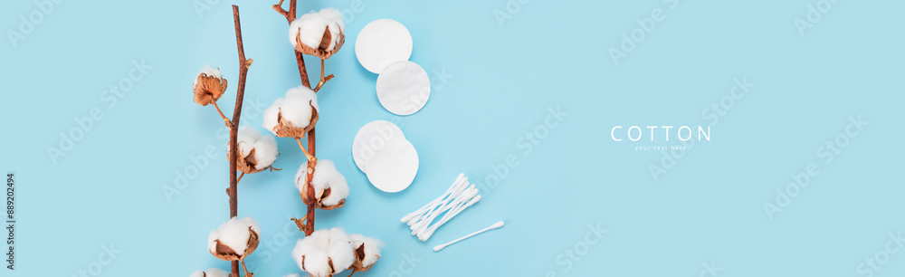 Wall mural cotton sponges for hygiene, sticks, cotton branches with lush flowers on blue background, top view. 