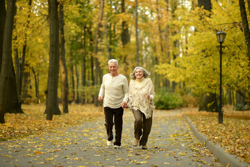 Mature couple walking in the autumn park