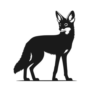 recommend clip art: Clean black and white vector Silhouette of a Black-backed jackal  isolated on white background
