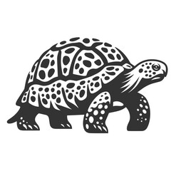 Clean black and white vector Silhouette of a Tortoise isolated on white background