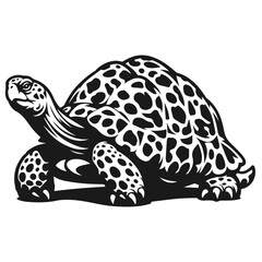 Clean black and white vector Silhouette of a Tortoise isolated on white background
