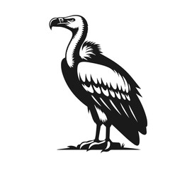 Clean black and white vector Silhouette of a Vulture isolated on white background