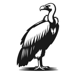 Clean black and white vector Silhouette of a Vulture isolated on white background